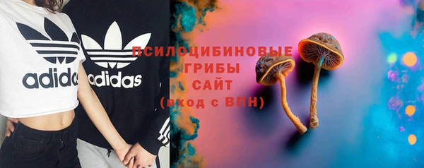 2c-b Алзамай
